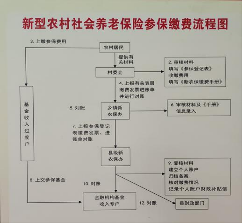 随州农村医保和社保有什么区别(农村医保跟社保的区别)