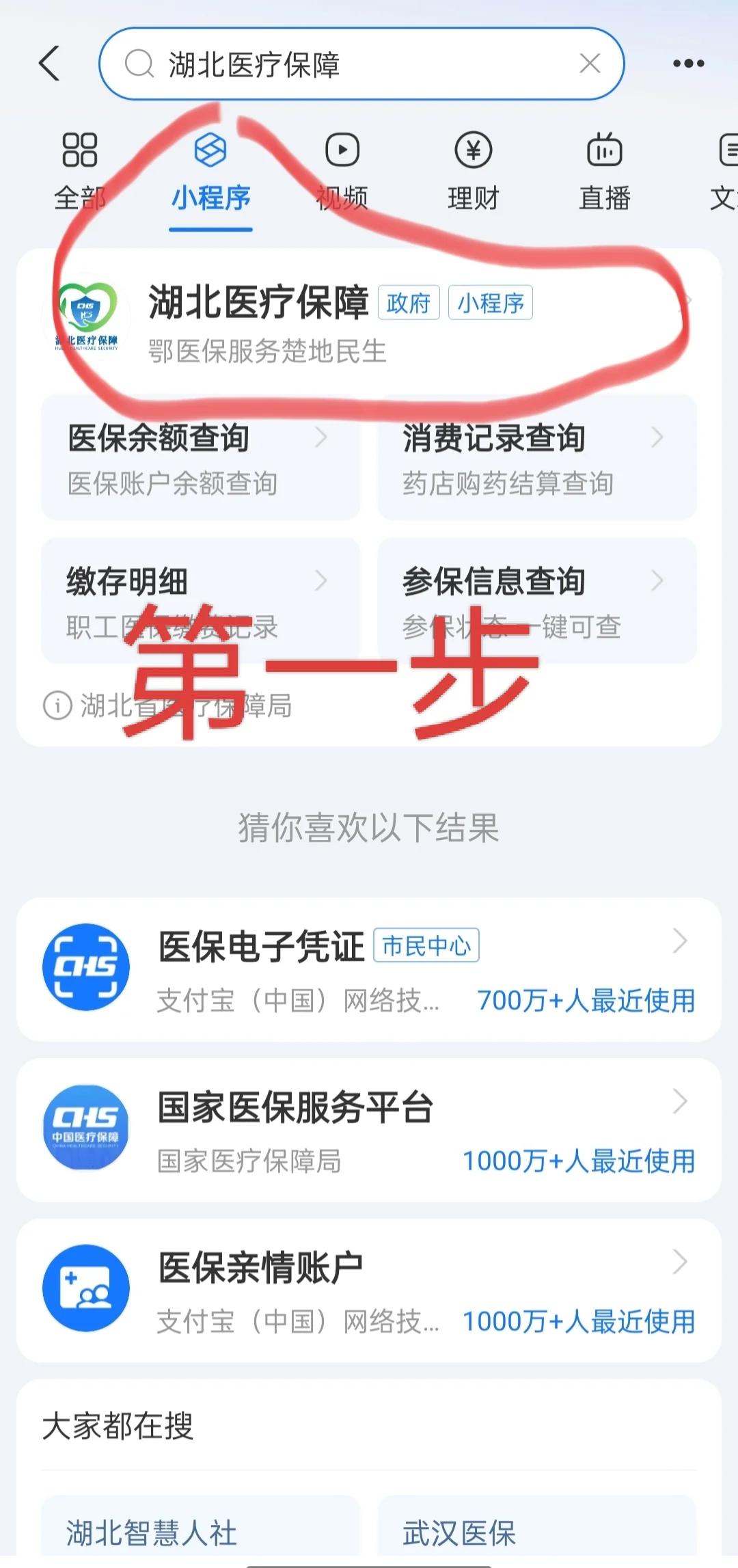 随州医保网上怎么缴费(孩子居民医保网上怎么缴费)